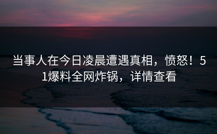 当事人在今日凌晨遭遇真相，愤怒！51爆料全网炸锅，详情查看  第1张