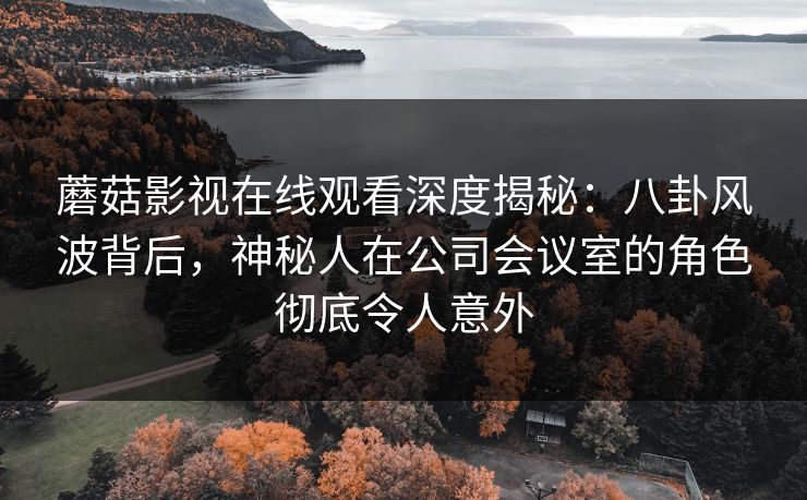 蘑菇影视在线观看深度揭秘：八卦风波背后，神秘人在公司会议室的角色彻底令人意外