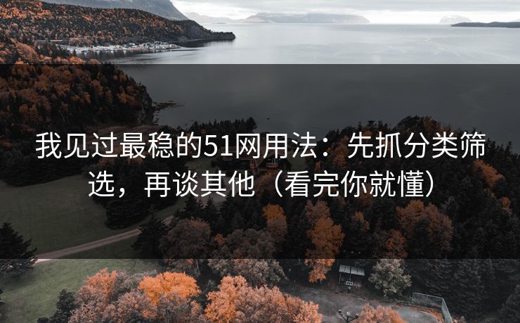 我见过最稳的51网用法：先抓分类筛选，再谈其他（看完你就懂）  第1张
